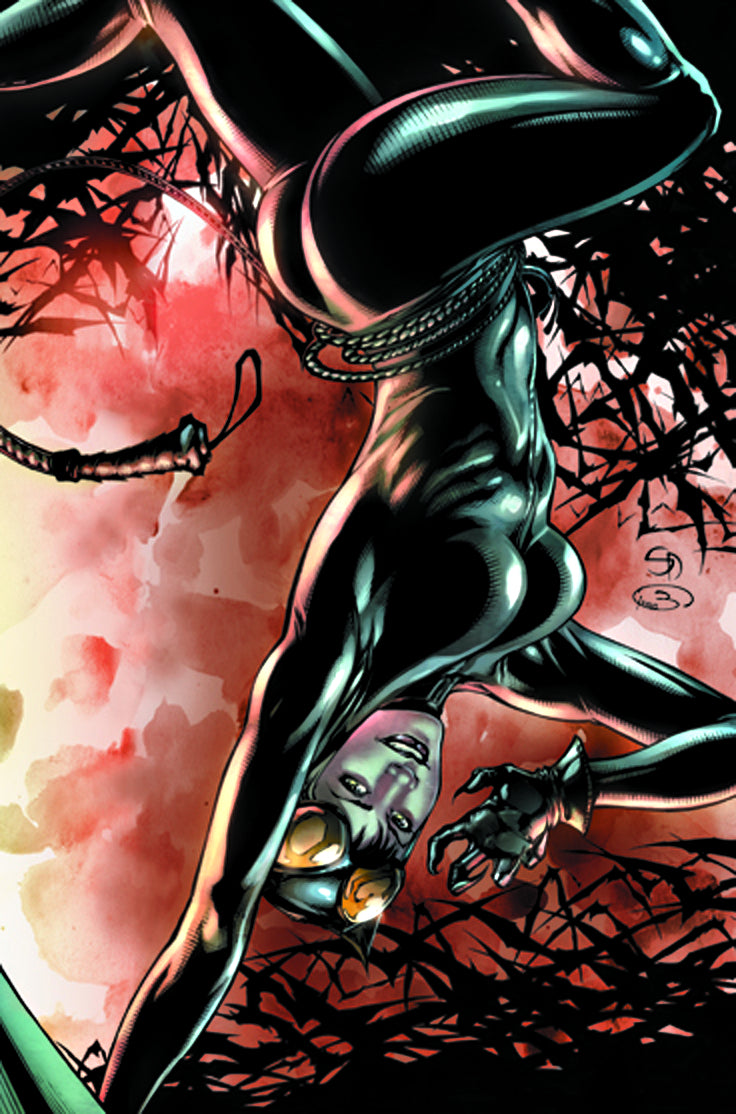 BRUCE WAYNE THE ROAD HOME CATWOMAN #1